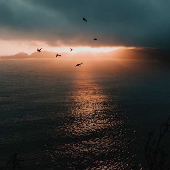 CMDA MP Hero autumn 24