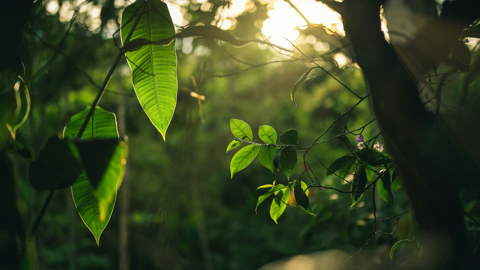 Conscious design r V1 Bq Sne47k unsplash