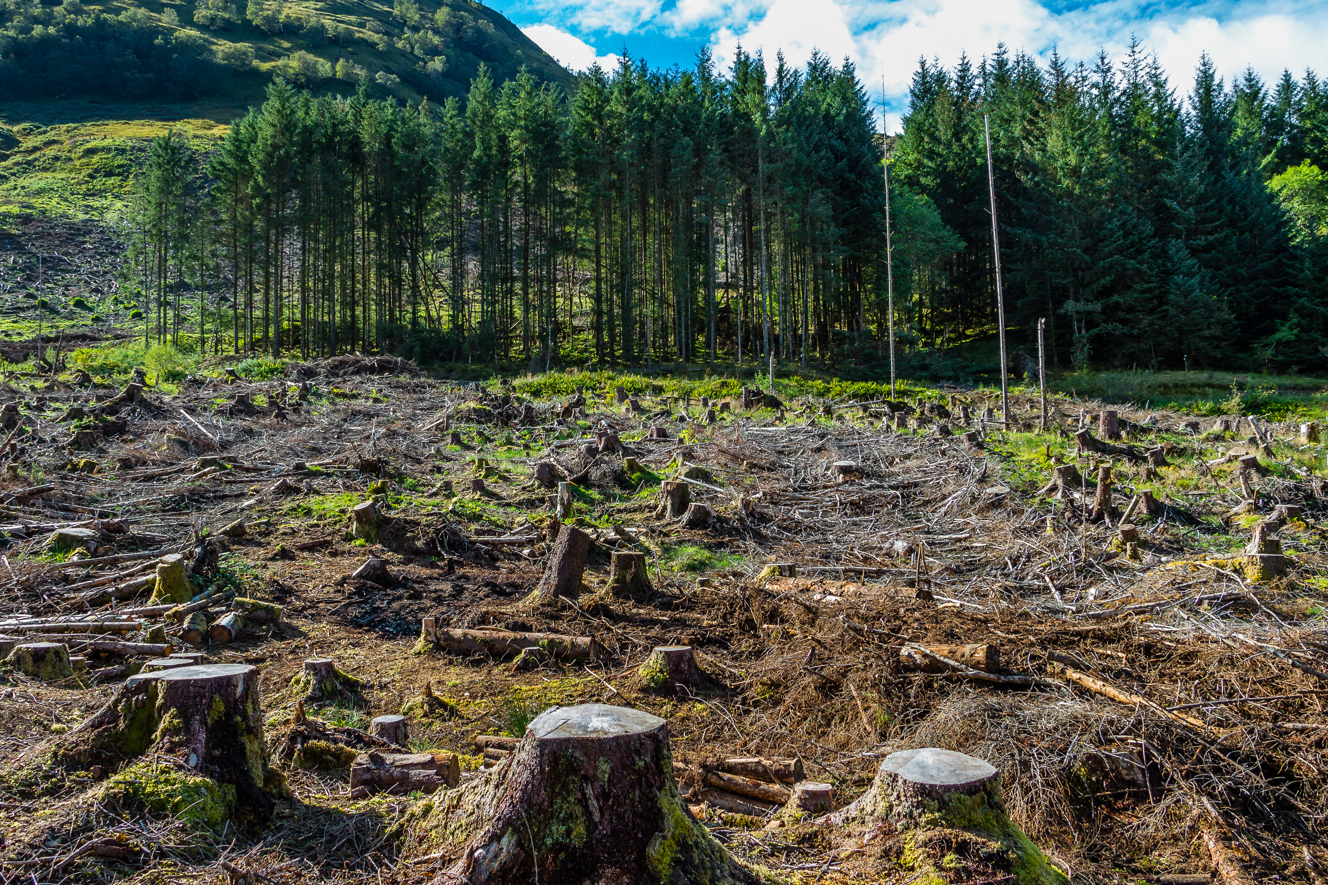 Why leaders at COP26 are missing an opportunity to be bolder in their actions