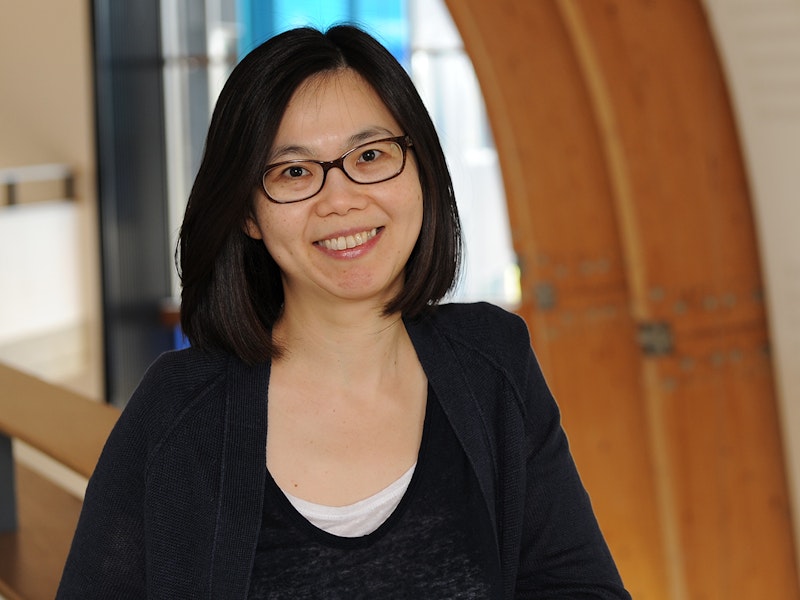 Dr Yin Leng Tan