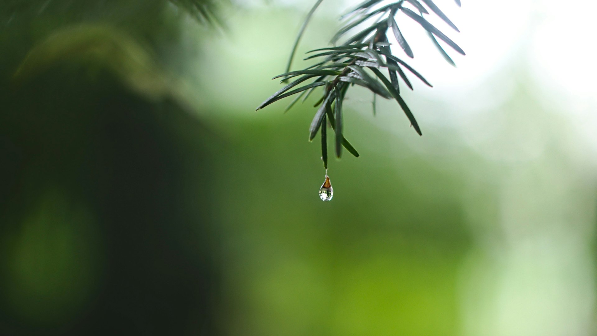 Ed leszczynskl R3of E 8 Dy Lk unsplash
