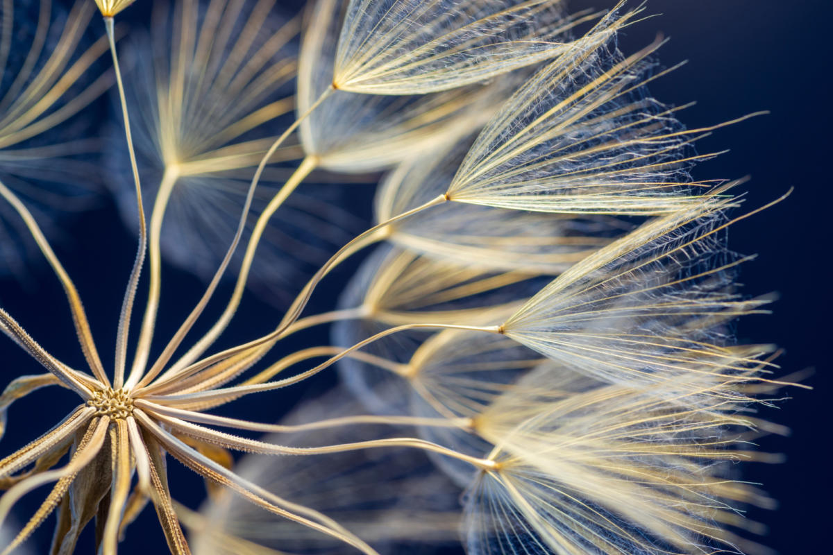 Advancing ethical governance for strategic leadership