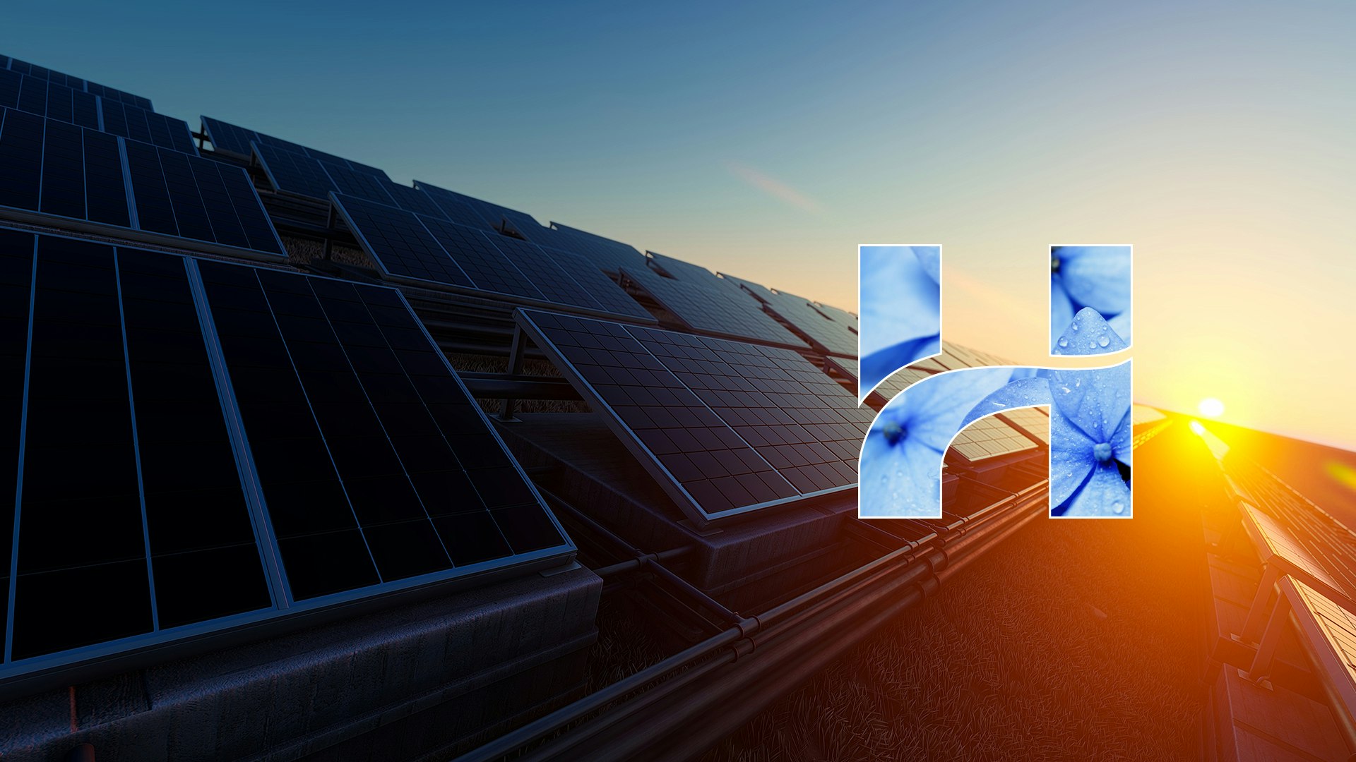 Homepage Desktop 1920x1080