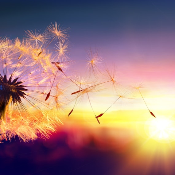 Improvement Leader Apprenticeship