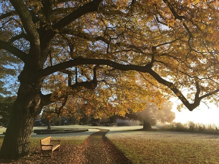 Photo Kirstie Papworth mtime20180126100254