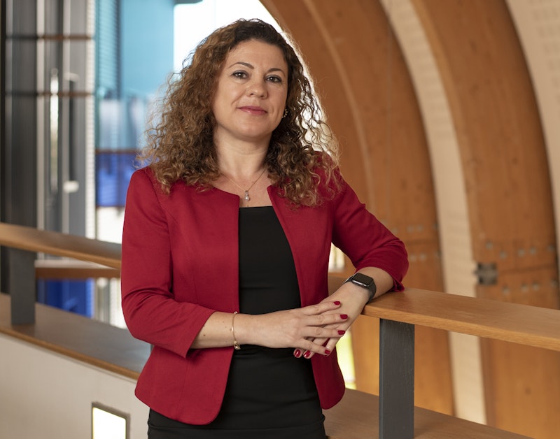 Dr Sinem Bulkan