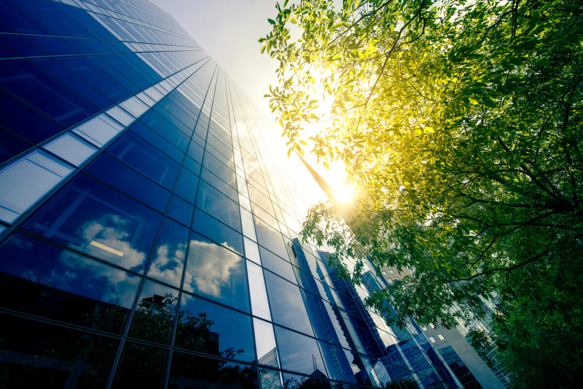 Centre for Business Ethics and Sustainability