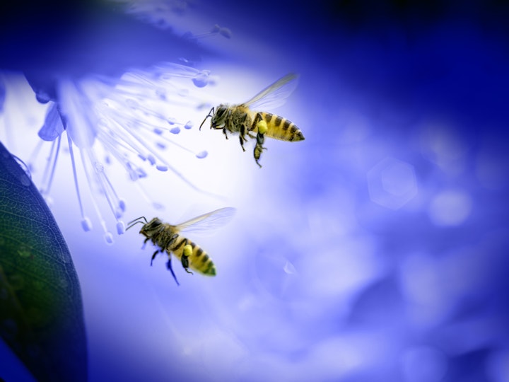 Human Resource Management