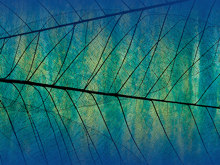 21 UPM 054 Executive MBA GT Snocopy1500x870